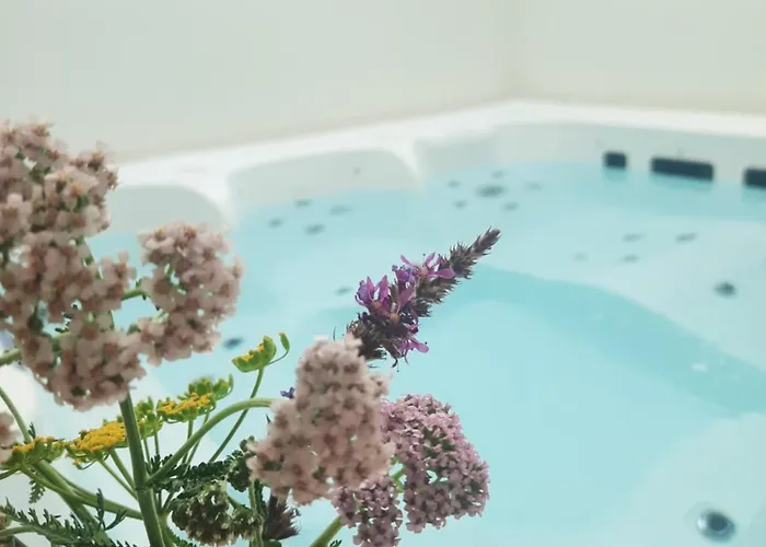 Grange Le Kulmino * Notre-Dame-de-Monts